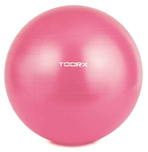 Gimnast. kamuolys 55cm TOORX AHF-069  su pompa